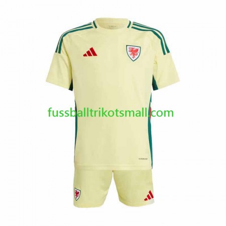 Fußballtrikots Wales Kinder 2024 Kurzarm Auswärts-trikot kaufen